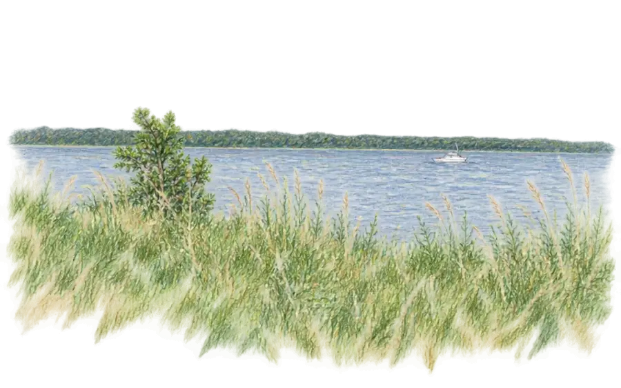 Pencil sketch of wide, calm Lake Houston with a lone boat and shoreline grass
