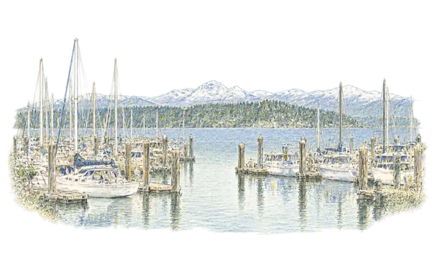 Pencil sketch of sailboats at marina docks with snowy mountains across the bay