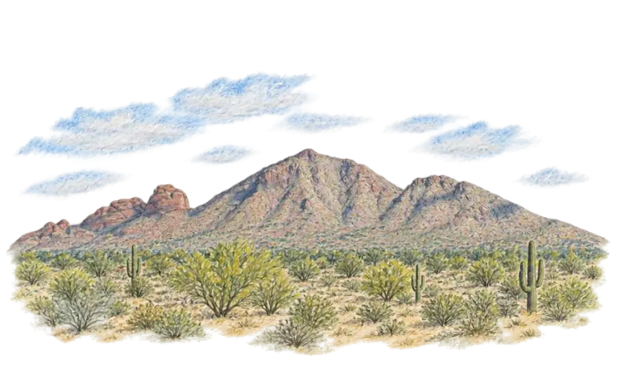 Pencil sketch of Camelback Mountain's rock head and hump above saguaros and desert scrub