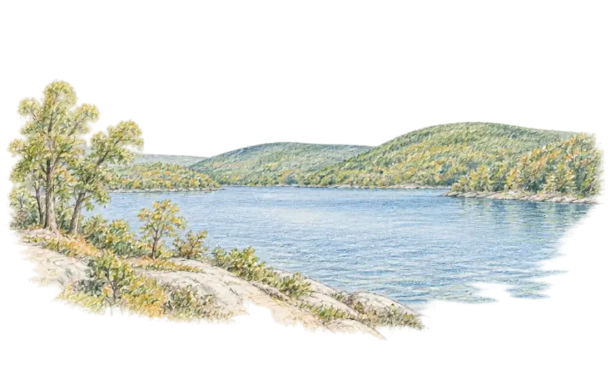 Pencil sketch of a long lake among rounded wooded hills with a rocky shore