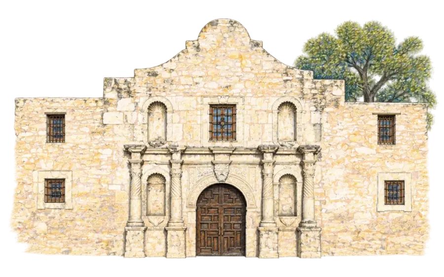 Pencil sketch of the Alamo's limestone church front beside a live oak