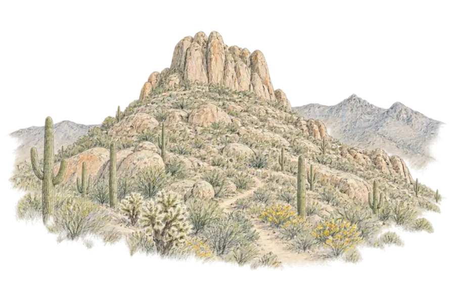 Pencil sketch of Pinnacle Peak's granite boulders above saguaros and a winding trail